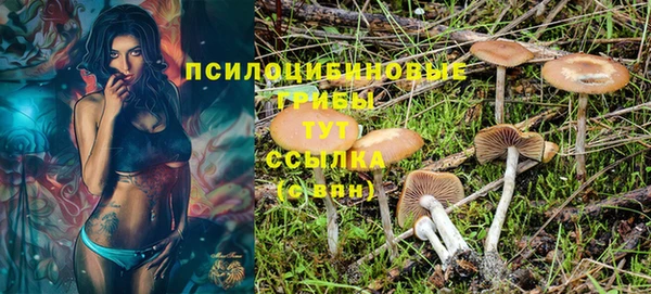 мдпв Магадан