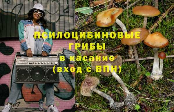 соль ск Абдулино