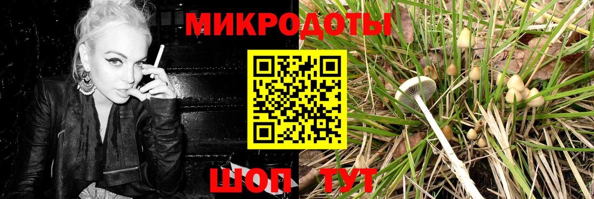 Новочебоксарск  Галлюциногенные грибы MAGIC MUSHROOMS  Вход с VPN 